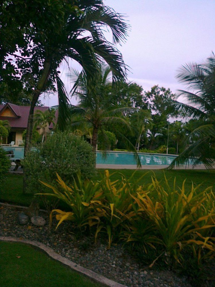 Bohol Divers Resort Totolan Εξωτερικό φωτογραφία